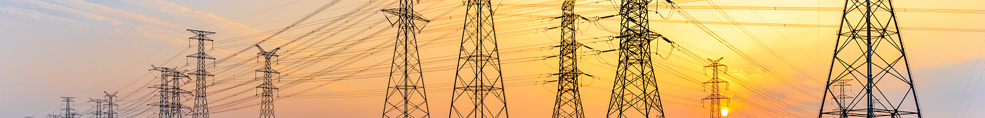 Asset monitoring for Power Transmission Towers